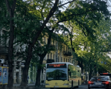 Социальный автобус в Одессе