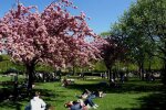 Прогноз погоди, фото: ua.news