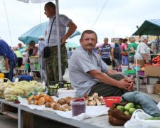 Справедливый суд: публичное избиение пенсионера в Киеве подняло на уши украинцев