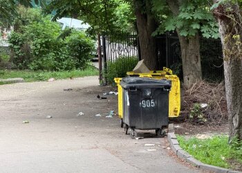 Терпіння увірвалося: кияни б’ють на сполох через безлад біля ботсаду Фоміна та пропонують радикальні кадрове рішення