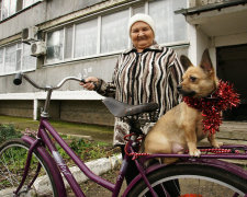 Велосипедист і пес підтвердили приказку про найкращого друга людини: кумедне відео