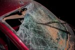 Комунальне дно імені Кличка: старі дерева трощать авто киян