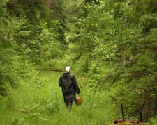 Украинская гостеприимность: на Закарпатье приезжих грибников избивали всем селом