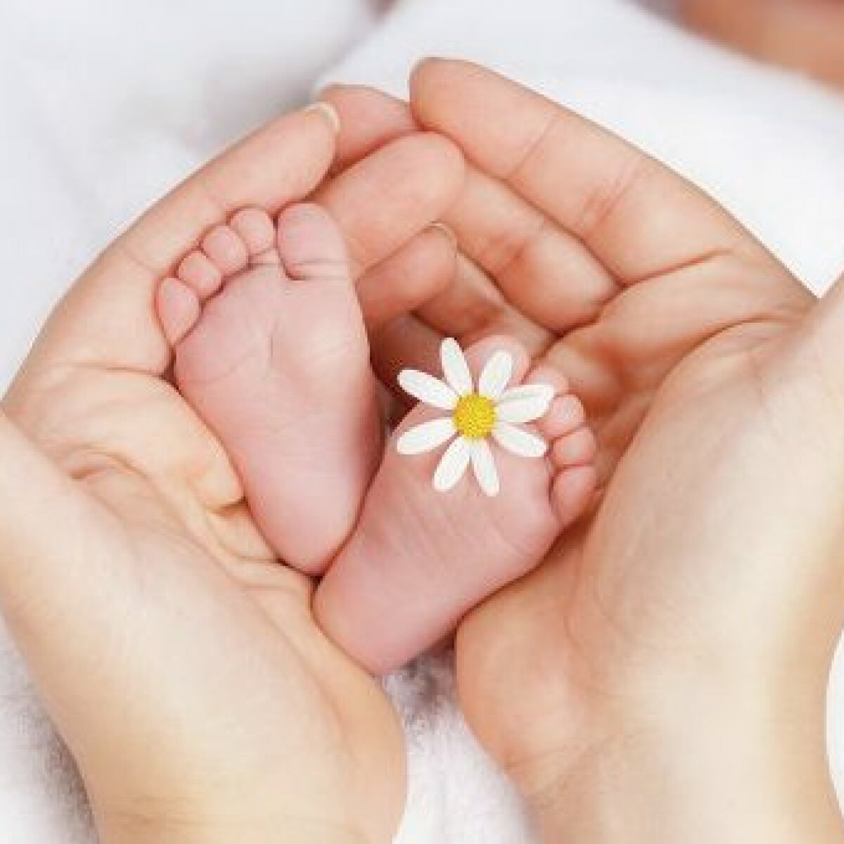 Рожать В Новогоднюю Ночь Рожать В Новогоднюю Ночь