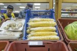 Росіян нічим годувати: на прилавках їжа для худоби (фото)