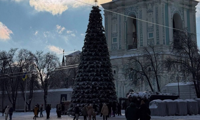 Украинцы, Киев, елка,  фото из соцсетей