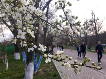 Прогноз погоды, фото: waves-ua.com