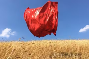 ТОП-16 лучших снимков, сделанных на iPhone (фото)