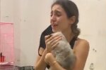 Постраждали не лише люди: в мережі показали щемливі відео про віднайдених після вибуху домашніх улюбленців
