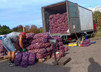 Продажа картофеля. Фото: скрин youtube