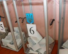 Вибори в Україні: Томенко збирається у президенти