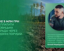 Госэкоинспекция добилась возмещения 5 млн гривен от Дубровицкого горсовета