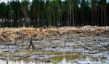 Луценко прикриває "бурштинову мафію" показовими затриманнями