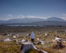 У NASA показали, як змінилася Земля за останні роки: 15 фото, які перевернуть ваше життя