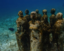 "Герой Майдана" получил по заслугам