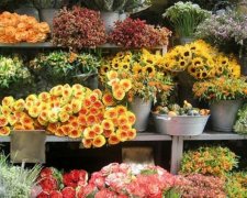 Як наживаються продавці квітів на 8 березня