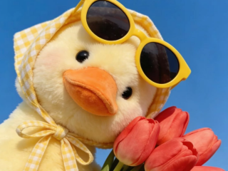 Гороскоп, изображение: Pinterest