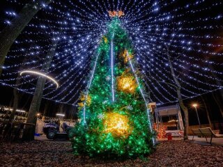 Новий рік, ялинка, фото із соцмереж