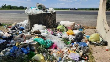 Ліквідація стихійного сміттєзвалища на трасі Одеса-Київ