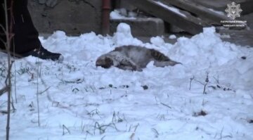 Скріншот з відео, патрульна поліція Львівської області