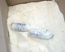 Пенсіонерці на Донбасі прислали посилку з продуктами і наркотиками (фото)