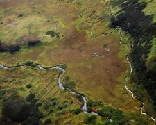 Токіо може відмовитися від частини спірних островів на Курилах