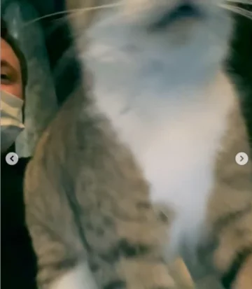 Дзідзьо с котом, фото из instagram