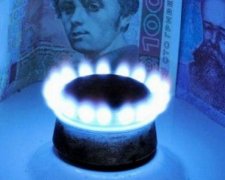 Министр энергетики заявил, что цена газа вдвое ниже тарифа