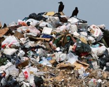 У Кличко предложили превратить Чернобыль в свалку