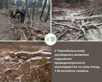 Держекоінспекція викрила масштабні порушення у Чорнобильському заповіднику: збитки на 1,58 млн грн