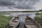 Бобры уничтожают Волынь, целые города могут уйти под воду: люди бьют тревогу, катастрофа уже на пороге