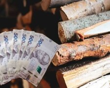 Фінансова допомога ВПО на опалення взимку