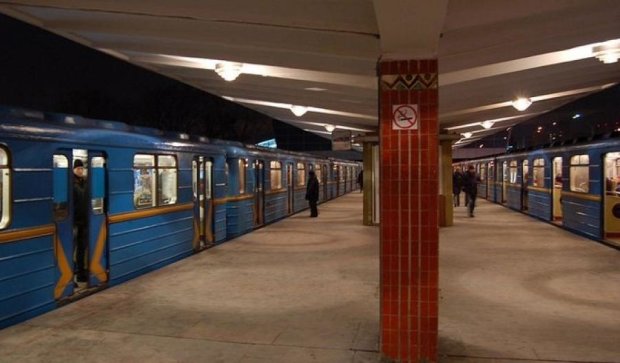 Пассажиров метро напугали трупами собак