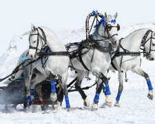 Введение во храм Пресвятой Богородицы 4 декабря: поверья и приметы