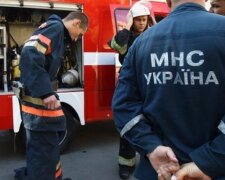 Хапався за життя чіпкими лапками: у Дніпрі маленький пухнастик провалився у вигрібну яму