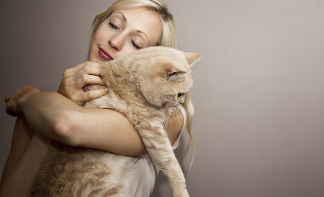 Студент попытался задобрить преподавательницу и пришел на занятия в костюме кота. Невероятно, но это сработало