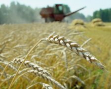 Названі професії, що провокують розвиток раку