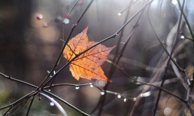 Погода на 4 жовтня: холоди застануть українців зненацька