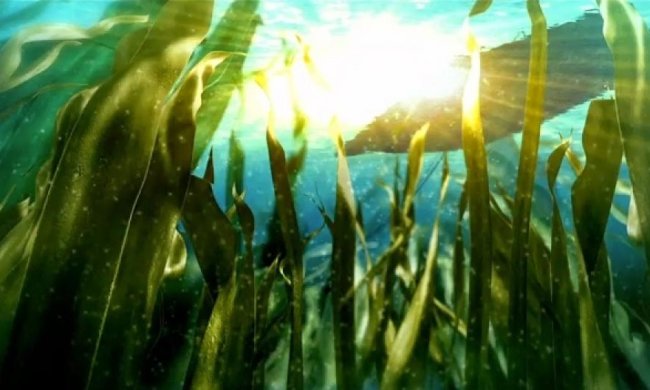 Полярні водорості прожили півтора року у відкритому космосі