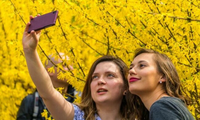 Курс валют на 14 апреля: доллар набирает обороты, а евро притих