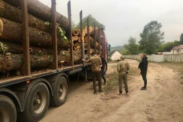 Приезд Зеленского не помог: под Харьковом "черные лесорубы" избили журналистов, - подловили "в деле"