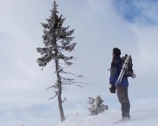 Исследователи нашли 9500-летнюю ель (фото)