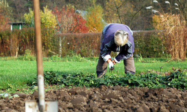 Город, зображення з вільних джерел