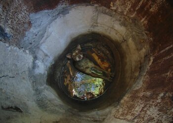 Шкуродери або випадковість? Рятувальники витягли цуценя з лап погибелі в покинутому колодязі