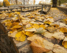 День чудовий: якою буде погода у Запоріжжі 13 листопада