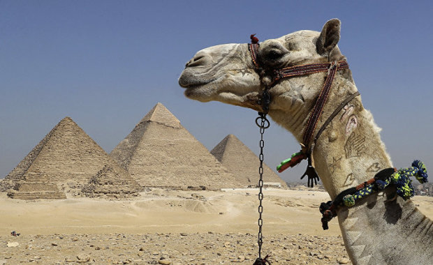 Закохана парочка зайнялася коханням прямо на піраміді Хеопса