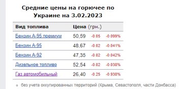 Цены на топливо. Фото: скрин Минфин