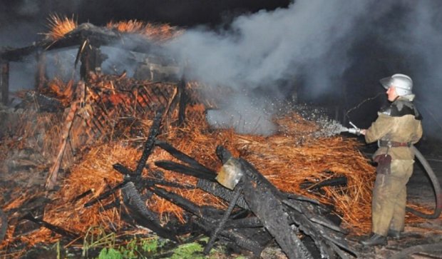 На запорожской "Хортице" горели деревянные навесы (фото)
