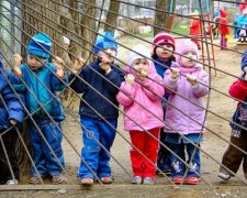 Обіцяного три роки чекають: коли зникнуть черги в дитсадок