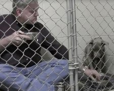 Ветеринар їв в одному вольєрі з собакою на благо порятунку (фото)